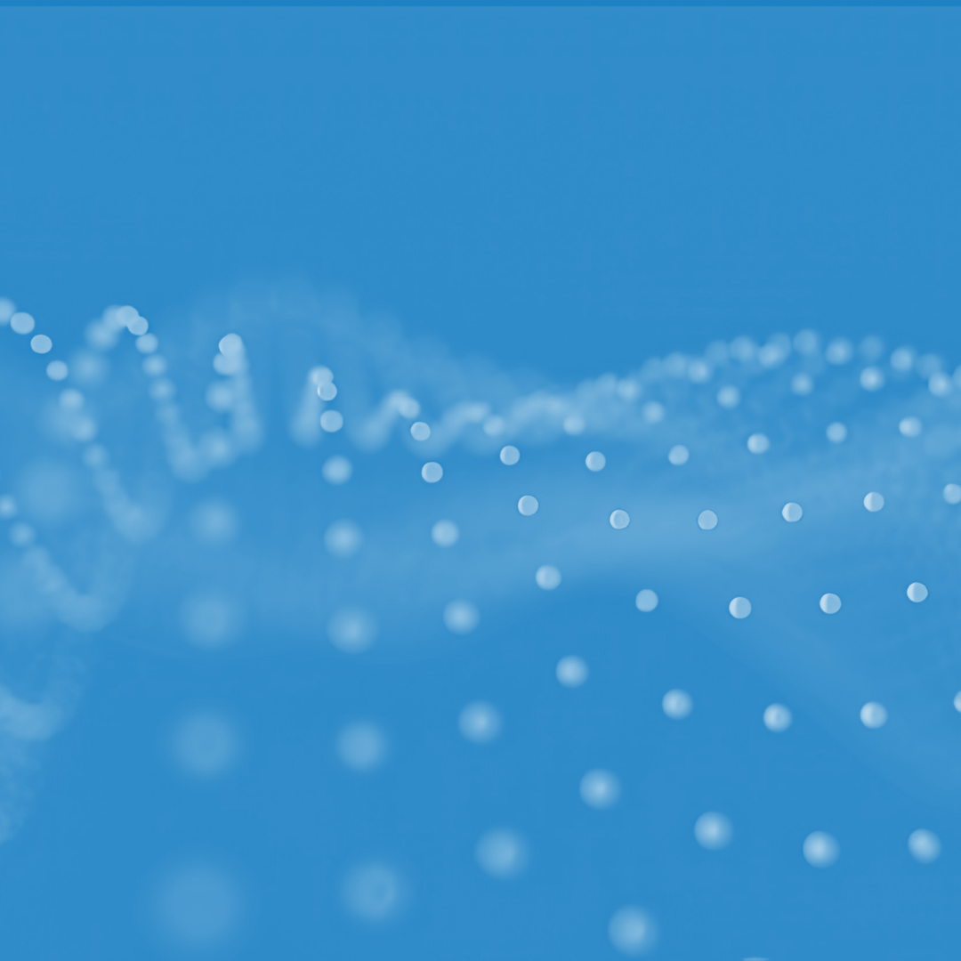 Business Analysis & Process Mapping Business-Analyse und Prozessabbildungen